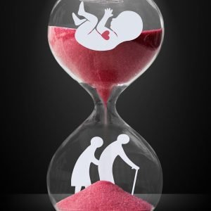 life cycle, growth, hourglass, time, life, embryo, old people, seniors, evolution, development, people